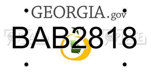 BAB2818 Georgia License Plate