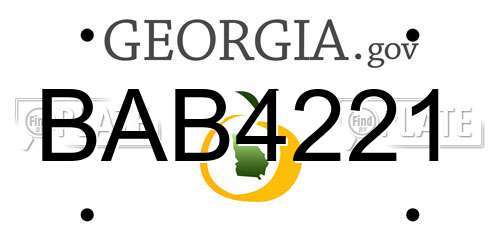 BAB4221 Georgia License Plate