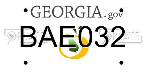 BAE032 Georgia License Plate
