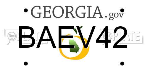 BAEV42 Georgia License Plate