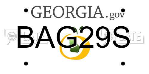 BAG29S Georgia License Plate