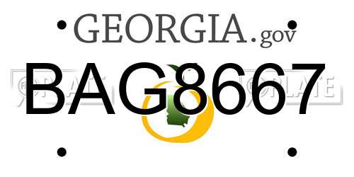 BAG8667 Georgia License Plate