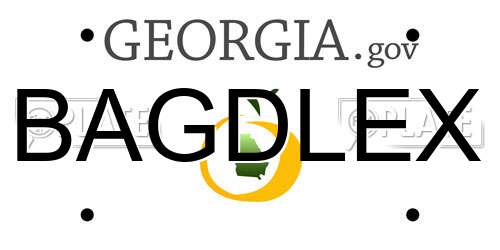 BAGDLEX Georgia License Plate