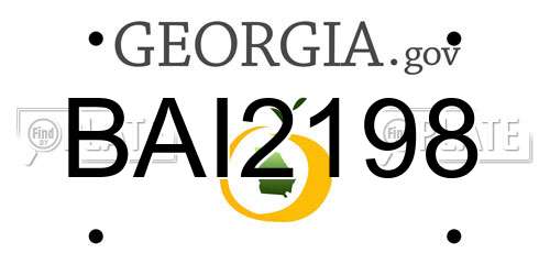 BAI2198 Georgia License Plate