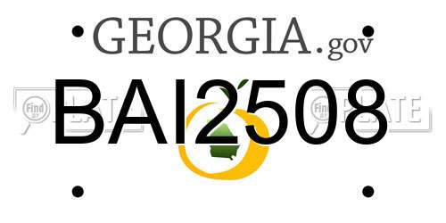 BAI2508 Georgia License Plate
