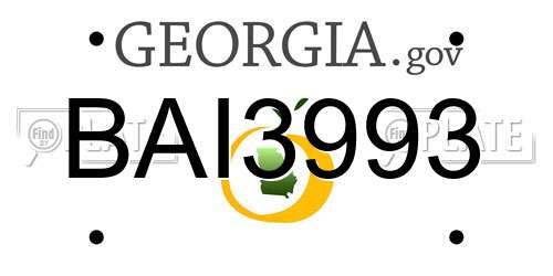 BAI3993 Georgia License Plate