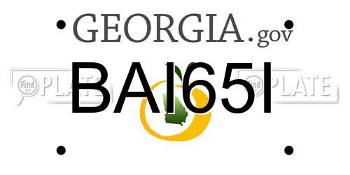 BAI65I Georgia License Plate