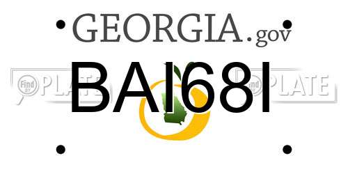 BAI68I Georgia License Plate