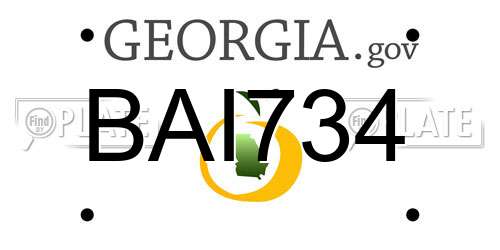 BAI734 Georgia License Plate