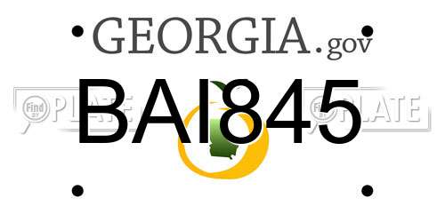 BAI845 Georgia License Plate