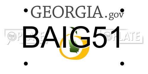 BAIG51 Georgia License Plate