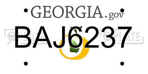 BAJ6237 Georgia License Plate