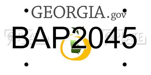 BAP2045 Georgia License Plate