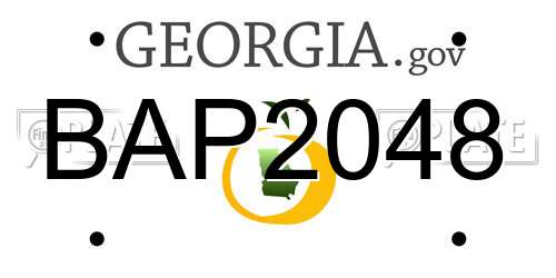 BAP2048 Georgia License Plate