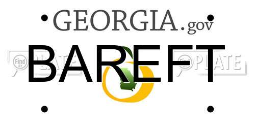 BAREFT Georgia License Plate