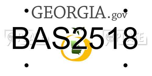 BAS2518 Georgia License Plate