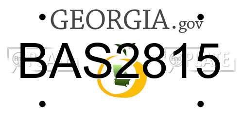 BAS2815 Georgia License Plate
