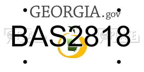 BAS2818 Georgia License Plate