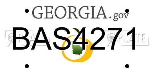 BAS4271 Georgia License Plate