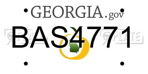 BAS4771 Georgia License Plate