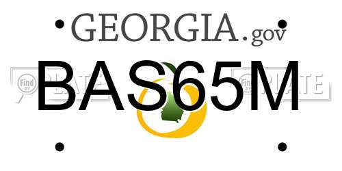 BAS65M Georgia License Plate
