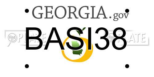 BASI38 Georgia License Plate