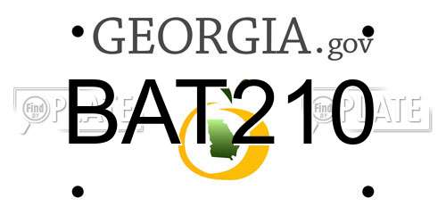 BAT210 Georgia License Plate