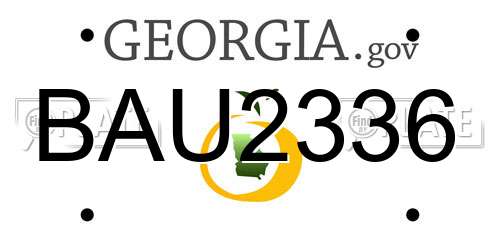 BAU2336 Georgia License Plate