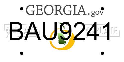 BAU9241 Georgia License Plate