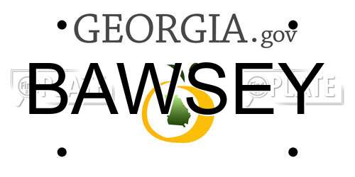 BAWSEY Georgia License Plate