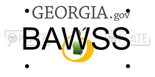 BAWSS Georgia License Plate