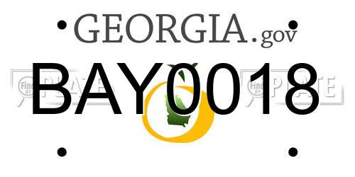 BAY0018 Georgia License Plate