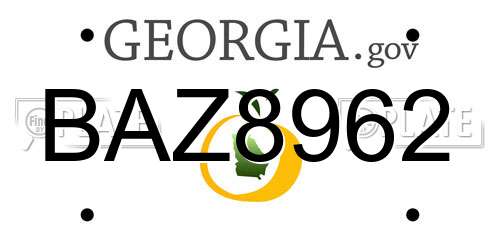 BAZ8962 Georgia License Plate