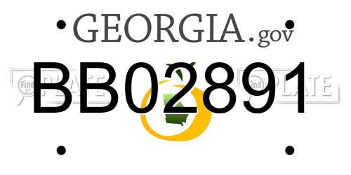 BB02891 Georgia License Plate