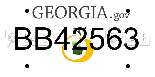 BB42563 Georgia License Plate