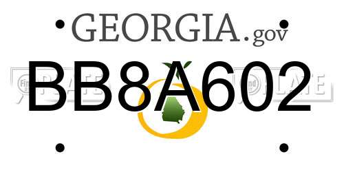 BB8A602 Georgia License Plate