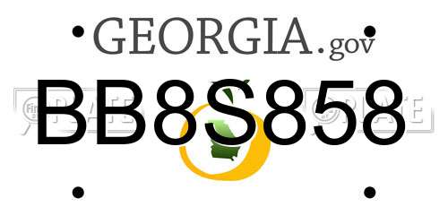 BB8S858 Georgia License Plate
