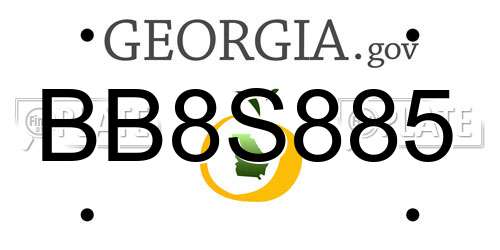 BB8S885 Georgia License Plate