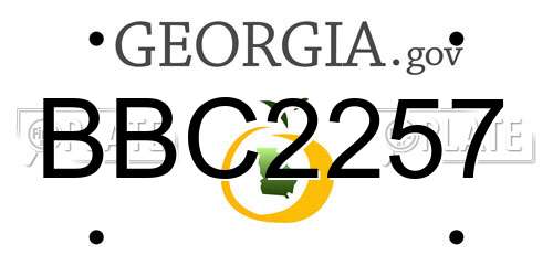 BBC2257 Georgia License Plate