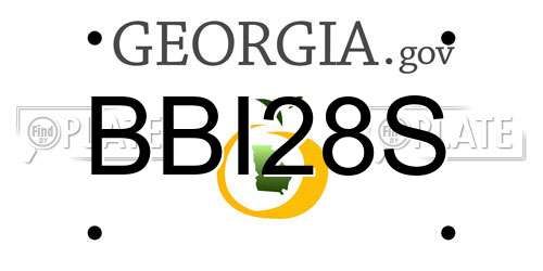 BBI28S Georgia License Plate