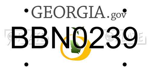 BBN0239 Georgia License Plate