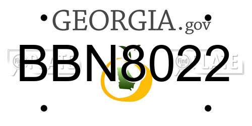 BBN8022 Georgia License Plate