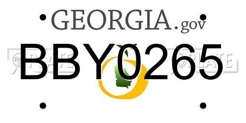 BBY0265 Georgia License Plate