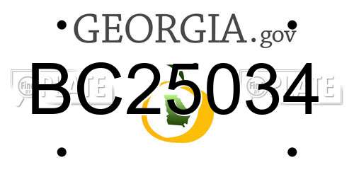 BC25034 Georgia License Plate