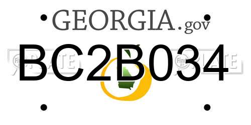 BC2B034 Georgia License Plate