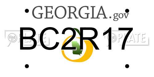BC2R17 Georgia License Plate