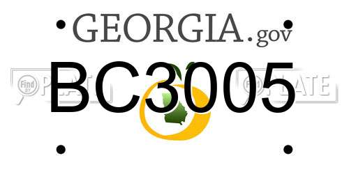 BC3005 Georgia License Plate