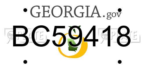 BC59418 Georgia License Plate