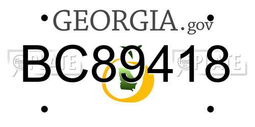BC89418 Georgia License Plate