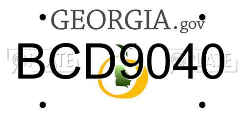 BCD9040 Georgia License Plate